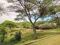 Tarangire Safari Lodge