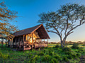 TNS Ndutu Luxury Camp