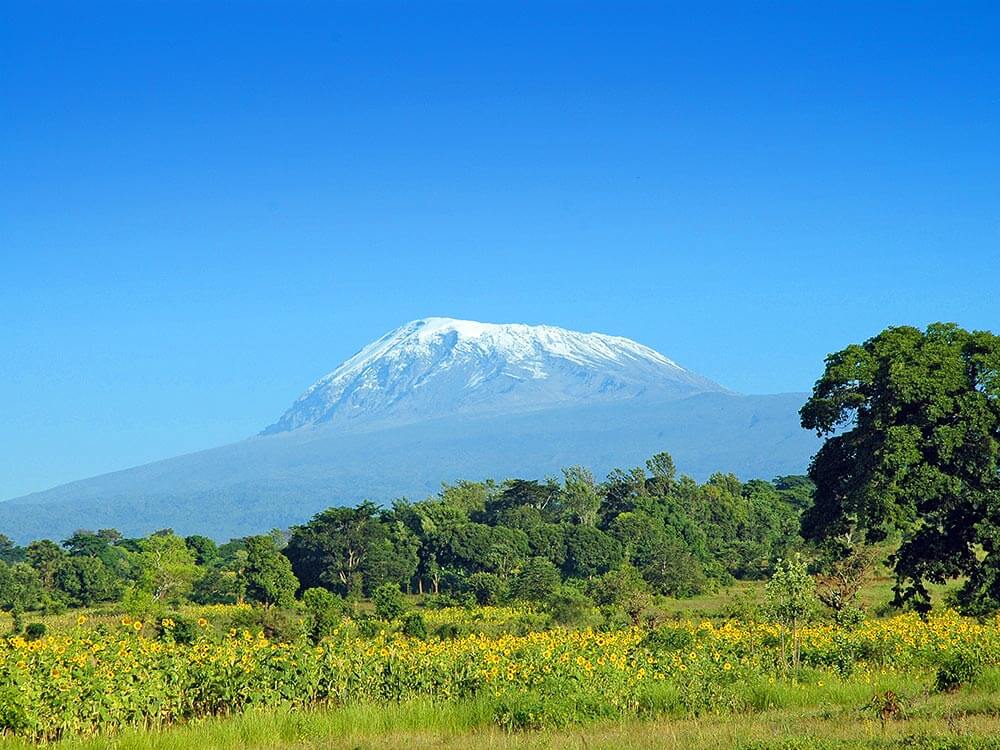 Kilimanjaro - der hchste Berg in Afrika