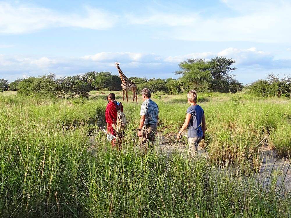 Tanzania Naturreise Privat