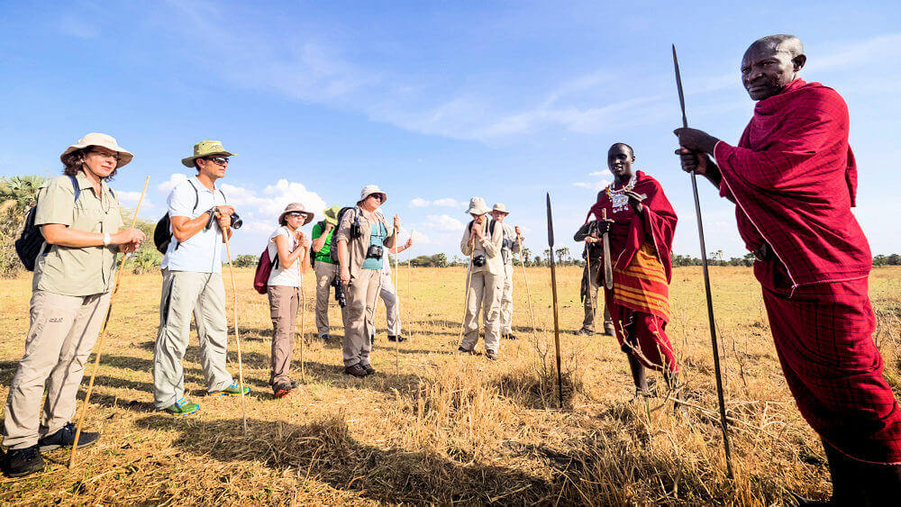 Safari Tanzania Afrika