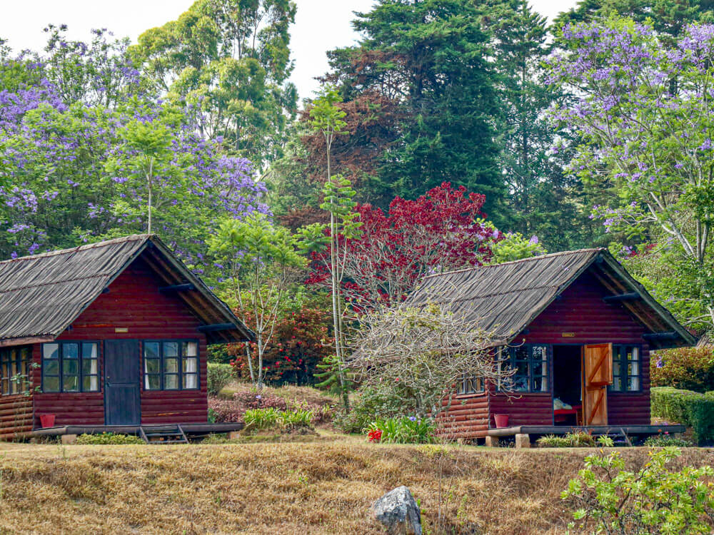 Afrika-Reise in Tanzannia, Safari - Unterkunft